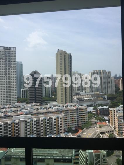 Havelock Road thumbnail photo